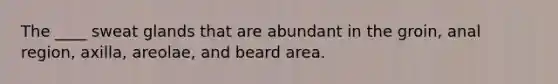 The ____ sweat glands that are abundant in the groin, anal region, axilla, areolae, and beard area.