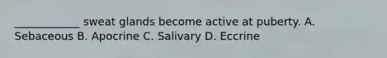 ____________ sweat glands become active at puberty. A. Sebaceous B. Apocrine C. Salivary D. Eccrine