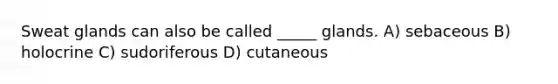 Sweat glands can also be called _____ glands. A) sebaceous B) holocrine C) sudoriferous D) cutaneous