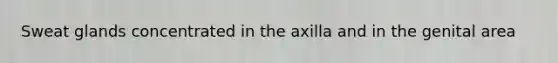 Sweat glands concentrated in the axilla and in the genital area