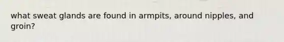 what sweat glands are found in armpits, around nipples, and groin?
