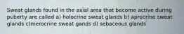 Sweat glands found in the axial area that become active during puberty are called a) holocrine sweat glands b) aprocrine sweat glands c)merocrine sweat gands d) sebaceous glands