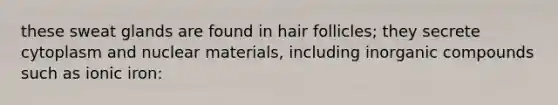 these sweat glands are found in hair follicles; they secrete cytoplasm and nuclear materials, including inorganic compounds such as ionic iron: