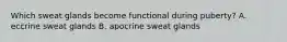 Which sweat glands become functional during puberty? A. eccrine sweat glands B. apocrine sweat glands