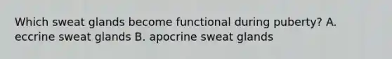 Which sweat glands become functional during puberty? A. eccrine sweat glands B. apocrine sweat glands