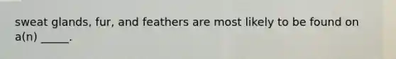 sweat glands, fur, and feathers are most likely to be found on a(n) _____.