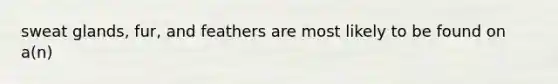 sweat glands, fur, and feathers are most likely to be found on a(n)