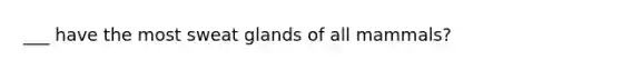 ___ have the most sweat glands of all mammals?