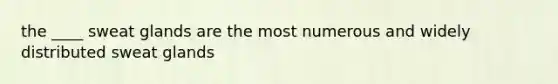 the ____ sweat glands are the most numerous and widely distributed sweat glands