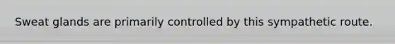Sweat glands are primarily controlled by this sympathetic route.