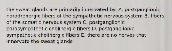 the sweat glands are primarily innervated by: A. postganglionic noradrenergic fibers of the sympathetic nervous system B. fibers of the somatic nervous system C. postganglionic parasympathetic cholinergic fibers D. postganglionic sympathetic cholinergic fibers E. there are no nerves that innervate the sweat glands