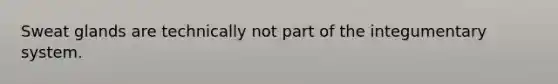 Sweat glands are technically not part of the integumentary system.