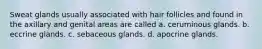 Sweat glands usually associated with hair follicles and found in the axillary and genital areas are called a. ceruminous glands. b. eccrine glands. c. sebaceous glands. d. apocrine glands.