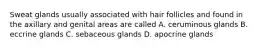 Sweat glands usually associated with hair follicles and found in the axillary and genital areas are called A. ceruminous glands B. eccrine glands C. sebaceous glands D. apocrine glands