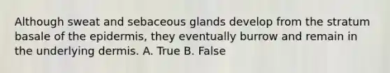 Although sweat and sebaceous glands develop from the stratum basale of the epidermis, they eventually burrow and remain in the underlying dermis. A. True B. False