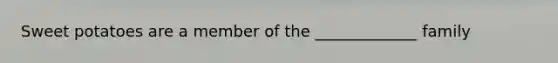 Sweet potatoes are a member of the _____________ family