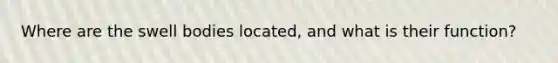 Where are the swell bodies located, and what is their function?