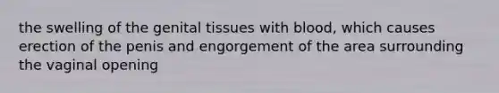 the swelling of the genital tissues with blood, which causes erection of the penis and engorgement of the area surrounding the vaginal opening