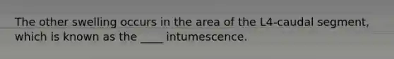 The other swelling occurs in the area of the L4-caudal segment, which is known as the ____ intumescence.