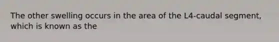 The other swelling occurs in the area of the L4-caudal segment, which is known as the