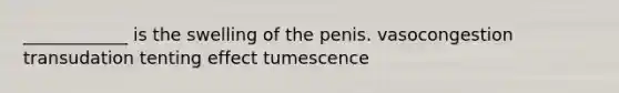 ____________ is the swelling of the penis. vasocongestion transudation tenting effect tumescence