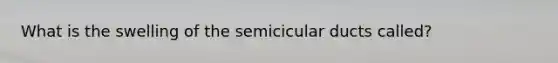 What is the swelling of the semicicular ducts called?