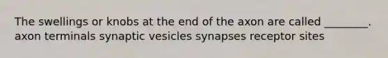 The swellings or knobs at the end of the axon are called ________. axon terminals synaptic vesicles synapses receptor sites