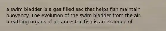 a swim bladder is a gas filled sac that helps fish maintain buoyancy. The evolution of the swim bladder from the air- breathing organs of an ancestral fish is an example of