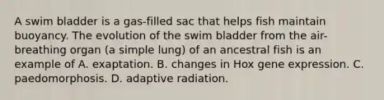 A swim bladder is a gas-filled sac that helps fish maintain buoyancy. The evolution of the swim bladder from the air-breathing organ (a simple lung) of an ancestral fish is an example of A. exaptation. B. changes in Hox gene expression. C. paedomorphosis. D. adaptive radiation.