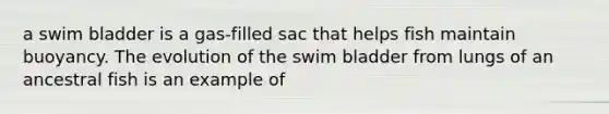 a swim bladder is a gas-filled sac that helps fish maintain buoyancy. The evolution of the swim bladder from lungs of an ancestral fish is an example of