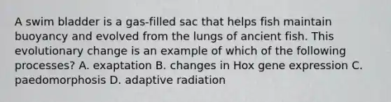 A swim bladder is a gas-filled sac that helps fish maintain buoyancy and evolved from the lungs of ancient fish. This evolutionary change is an example of which of the following processes? A. exaptation B. changes in Hox gene expression C. paedomorphosis D. adaptive radiation