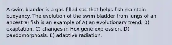 A swim bladder is a gas-filled sac that helps fish maintain buoyancy. The evolution of the swim bladder from lungs of an ancestral fish is an example of A) an evolutionary trend. B) exaptation. C) changes in Hox gene expression. D) paedomorphosis. E) adaptive radiation.