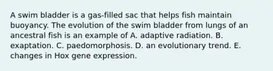 A swim bladder is a gas-filled sac that helps fish maintain buoyancy. The evolution of the swim bladder from lungs of an ancestral fish is an example of A. adaptive radiation. B. exaptation. C. paedomorphosis. D. an evolutionary trend. E. changes in Hox <a href='https://www.questionai.com/knowledge/kFtiqWOIJT-gene-expression' class='anchor-knowledge'>gene expression</a>.