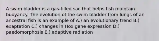 A swim bladder is a gas-filled sac that helps fish maintain buoyancy. The evolution of the swim bladder from lungs of an ancestral fish is an example of A.) an evolutionary trend B.) exaptation C.) changes in Hox <a href='https://www.questionai.com/knowledge/kFtiqWOIJT-gene-expression' class='anchor-knowledge'>gene expression</a> D.) paedomorphosis E.) adaptive radiation