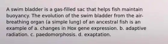 A swim bladder is a gas-filled sac that helps fish maintain buoyancy. The evolution of the swim bladder from the air-breathing organ (a simple lung) of an ancestral fish is an example of a. changes in Hox gene expression. b. adaptive radiation. c. paedomorphosis. d. exaptation.