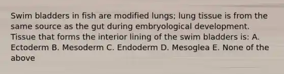 Swim bladders in fish are modified lungs; lung tissue is from the same source as the gut during embryological development. Tissue that forms the interior lining of the swim bladders is: A. Ectoderm B. Mesoderm C. Endoderm D. Mesoglea E. None of the above