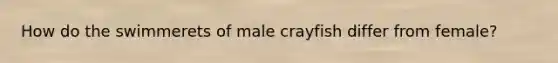 How do the swimmerets of male crayfish differ from female?