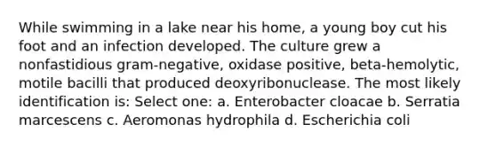 While swimming in a lake near his home, a young boy cut his foot and an infection developed. The culture grew a nonfastidious gram-negative, oxidase positive, beta-hemolytic, motile bacilli that produced deoxyribonuclease. The most likely identification is: Select one: a. Enterobacter cloacae b. Serratia marcescens c. Aeromonas hydrophila d. Escherichia coli