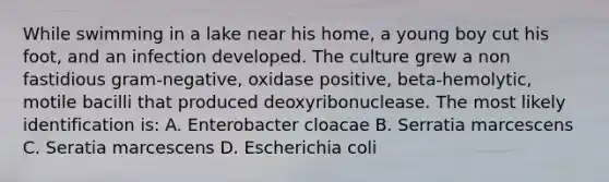 While swimming in a lake near his home, a young boy cut his foot, and an infection developed. The culture grew a non fastidious gram-negative, oxidase positive, beta-hemolytic, motile bacilli that produced deoxyribonuclease. The most likely identification is: A. Enterobacter cloacae B. Serratia marcescens C. Seratia marcescens D. Escherichia coli