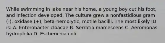 While swimming in lake near his home, a young boy cut his foot, and infection developed. The culture grew a nonfastidious gram (-), oxidase (+), beta-hemolytic, motile bacilli. The most likely ID is: A. Enterobacter cloacae B. Serratia marcescens C. Aeromonas hydrophilia D. Escherichia coli