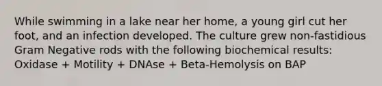 While swimming in a lake near her home, a young girl cut her foot, and an infection developed. The culture grew non-fastidious Gram Negative rods with the following biochemical results: Oxidase + Motility + DNAse + Beta-Hemolysis on BAP