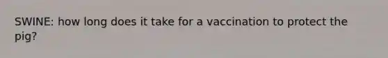 SWINE: how long does it take for a vaccination to protect the pig?