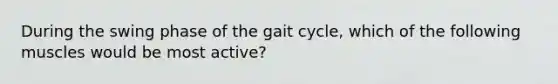 During the swing phase of the gait cycle, which of the following muscles would be most active?