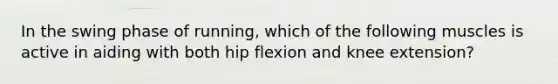 In the swing phase of running, which of the following muscles is active in aiding with both hip flexion and knee extension?