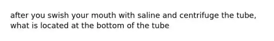 after you swish your mouth with saline and centrifuge the tube, what is located at the bottom of the tube