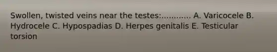 Swollen, twisted veins near the testes:............ A. Varicocele B. Hydrocele C. Hypospadias D. Herpes genitalis E. Testicular torsion