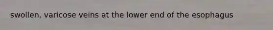 swollen, varicose veins at the lower end of the esophagus