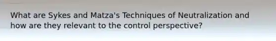 What are Sykes and Matza's Techniques of Neutralization and how are they relevant to the control perspective?