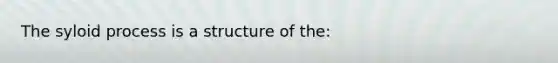 The syloid process is a structure of the: