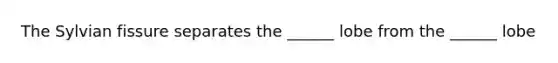 The Sylvian fissure separates the ______ lobe from the ______ lobe